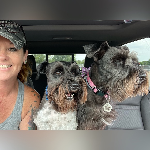 Meet your Posher, Jake - Picture 2 of 3